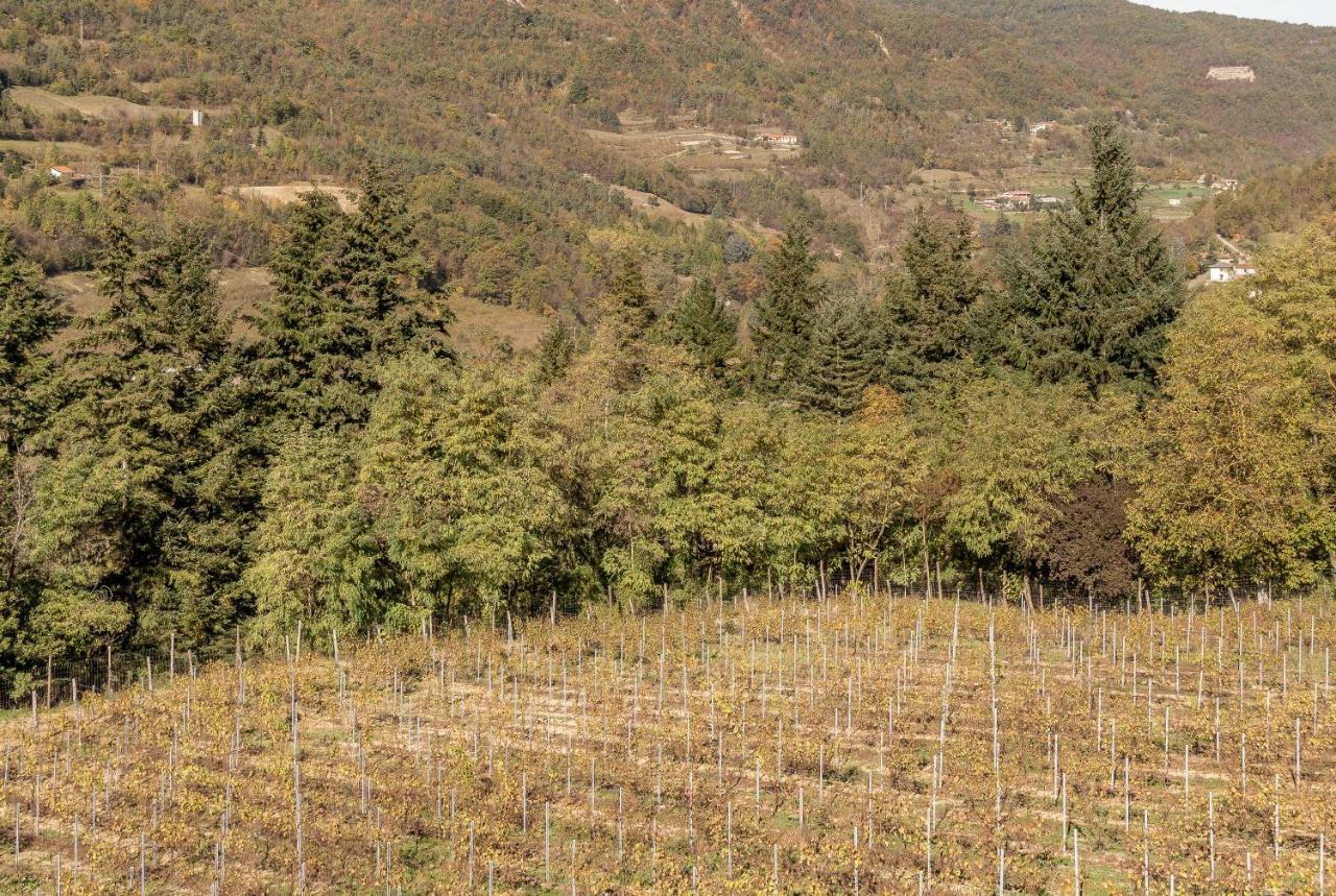 Tenuta Pian D'Attesio - Agriturismo Castelletto Soprano Ngoại thất bức ảnh