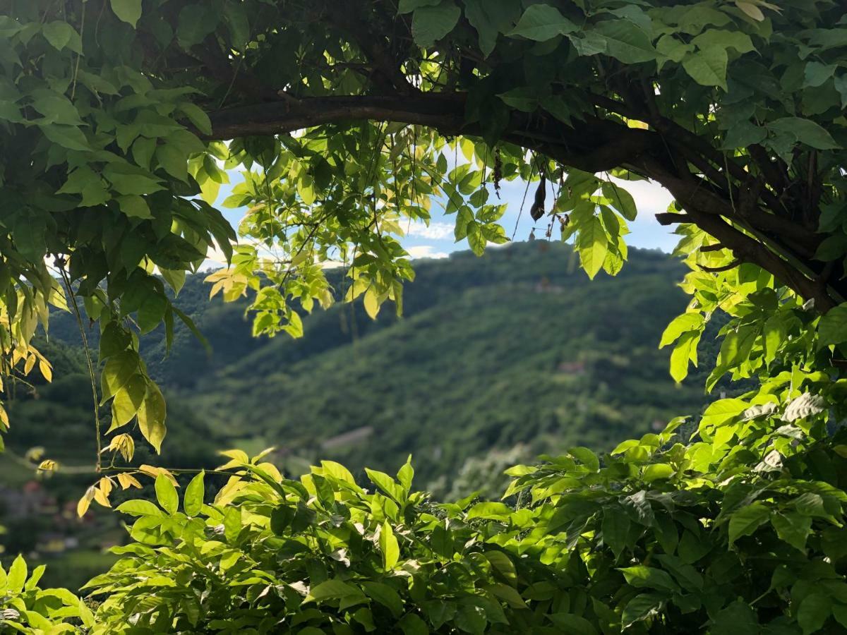 Tenuta Pian D'Attesio - Agriturismo Castelletto Soprano Ngoại thất bức ảnh